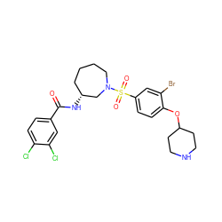 O=C(N[C@@H]1CCCCN(S(=O)(=O)c2ccc(OC3CCNCC3)c(Br)c2)C1)c1ccc(Cl)c(Cl)c1 ZINC000042888109