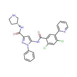 O=C(N[C@@H]1CCNC1)c1cc(NC(=O)c2cc(-c3ccccn3)c(Cl)cc2Cl)n(-c2ccccc2)n1 ZINC001772608587