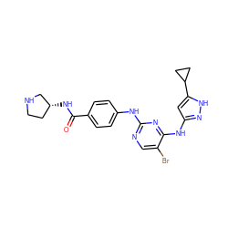 O=C(N[C@@H]1CCNC1)c1ccc(Nc2ncc(Br)c(Nc3cc(C4CC4)[nH]n3)n2)cc1 ZINC000138142513