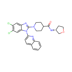 O=C(N[C@@H]1CCOC1)C1CCN(c2nc3cc(Cl)c(Cl)cc3n2-c2ccc3ccccc3n2)CC1 ZINC000201863819