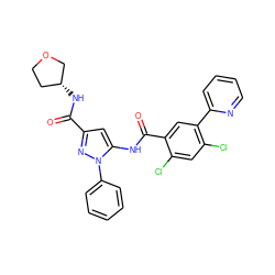 O=C(N[C@@H]1CCOC1)c1cc(NC(=O)c2cc(-c3ccccn3)c(Cl)cc2Cl)n(-c2ccccc2)n1 ZINC001772626440