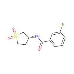 O=C(N[C@@H]1CCS(=O)(=O)C1)c1cccc(Br)c1 ZINC000004504628