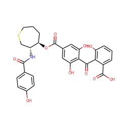 O=C(N[C@@H]1CSCCC[C@H]1OC(=O)c1cc(O)c(C(=O)c2c(O)cccc2C(=O)O)c(O)c1)c1ccc(O)cc1 ZINC000026394883