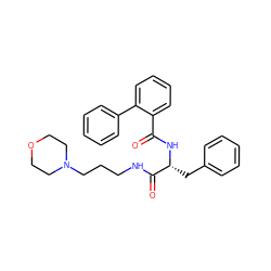 O=C(N[C@H](Cc1ccccc1)C(=O)NCCCN1CCOCC1)c1ccccc1-c1ccccc1 ZINC000028351694