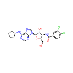 O=C(N[C@H]1[C@@H](CO)O[C@@H](n2cnc3c(NC4CCCC4)ncnc32)[C@@H]1O)c1ccc(Cl)c(Cl)c1 ZINC000004393623