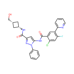 O=C(N[C@H]1C[C@@H](CO)C1)c1cc(NC(=O)c2cc(-c3ccccn3)c(F)cc2Cl)n(-c2ccccc2)n1 ZINC001772603542