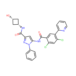 O=C(N[C@H]1C[C@@H](O)C1)c1cc(NC(=O)c2cc(-c3ccccn3)c(Cl)cc2Cl)n(-c2ccccc2)n1 ZINC001772647108