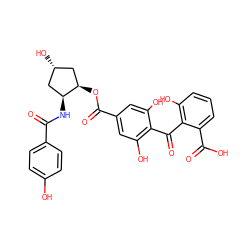 O=C(N[C@H]1C[C@H](O)C[C@H]1OC(=O)c1cc(O)c(C(=O)c2c(O)cccc2C(=O)O)c(O)c1)c1ccc(O)cc1 ZINC000026248454