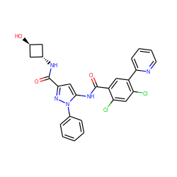 O=C(N[C@H]1C[C@H](O)C1)c1cc(NC(=O)c2cc(-c3ccccn3)c(Cl)cc2Cl)n(-c2ccccc2)n1 ZINC001772611403