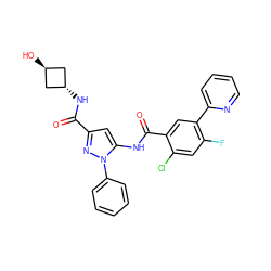 O=C(N[C@H]1C[C@H](O)C1)c1cc(NC(=O)c2cc(-c3ccccn3)c(F)cc2Cl)n(-c2ccccc2)n1 ZINC001772580334