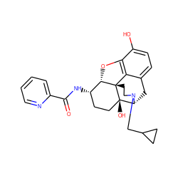 O=C(N[C@H]1CC[C@@]2(O)[C@H]3Cc4ccc(O)c5c4[C@@]2(CCN3CC2CC2)[C@H]1O5)c1ccccn1 ZINC000040913837