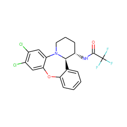 O=C(N[C@H]1CCCN2c3cc(Cl)c(Cl)cc3Oc3ccccc3[C@H]12)C(F)(F)F ZINC000029037487