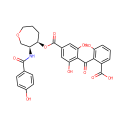 O=C(N[C@H]1COCCC[C@H]1OC(=O)c1cc(O)c(C(=O)c2c(O)cccc2C(=O)O)c(O)c1)c1ccc(O)cc1 ZINC000026265783