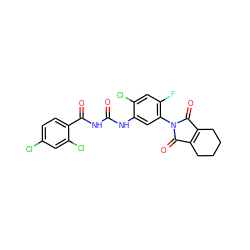 O=C(NC(=O)c1ccc(Cl)cc1Cl)Nc1cc(N2C(=O)C3=C(CCCC3)C2=O)c(F)cc1Cl ZINC000045290075