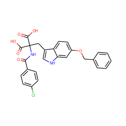 O=C(NC(Cc1c[nH]c2cc(OCc3ccccc3)ccc12)(C(=O)O)C(=O)O)c1ccc(Cl)cc1 ZINC000040752932