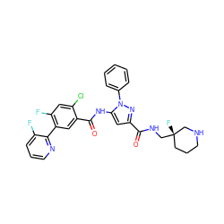 O=C(NC[C@@]1(F)CCCNC1)c1cc(NC(=O)c2cc(-c3ncccc3F)c(F)cc2Cl)n(-c2ccccc2)n1 ZINC001772604830