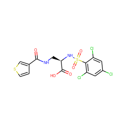 O=C(NC[C@@H](NS(=O)(=O)c1c(Cl)cc(Cl)cc1Cl)C(=O)O)c1ccsc1 ZINC000043120322