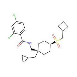 O=C(NC[C@]1(CC2CC2)CC[C@H](S(=O)(=O)CC2CCC2)CC1)c1ccc(Cl)cc1Cl ZINC000254133743