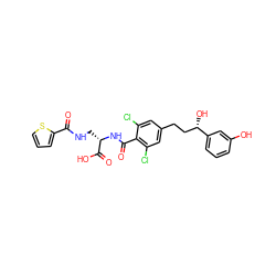 O=C(NC[C@H](NC(=O)c1c(Cl)cc(CC[C@H](O)c2cccc(O)c2)cc1Cl)C(=O)O)c1cccs1 ZINC000058584068