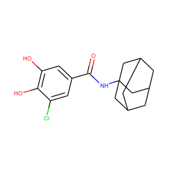 O=C(NC12CC3CC(CC(C3)C1)C2)c1cc(O)c(O)c(Cl)c1 ZINC000027982000