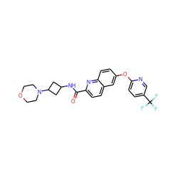 O=C(NC1CC(N2CCOCC2)C1)c1ccc2cc(Oc3ccc(C(F)(F)F)cn3)ccc2n1 ZINC001772578263