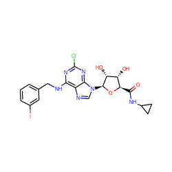 O=C(NC1CC1)[C@H]1O[C@@H](n2cnc3c(NCc4cccc(I)c4)nc(Cl)nc32)[C@H](O)[C@@H]1O ZINC000096900862