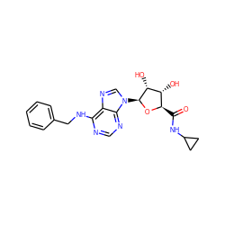 O=C(NC1CC1)[C@H]1O[C@@H](n2cnc3c(NCc4ccccc4)ncnc32)[C@H](O)[C@@H]1O ZINC000012405584