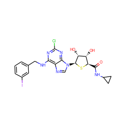 O=C(NC1CC1)[C@H]1S[C@@H](n2cnc3c(NCc4cccc(I)c4)nc(Cl)nc32)[C@H](O)[C@@H]1O ZINC000028564218