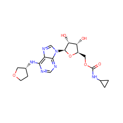 O=C(NC1CC1)OC[C@H]1O[C@@H](n2cnc3c(N[C@@H]4CCOC4)ncnc32)[C@H](O)[C@@H]1O ZINC000013589085