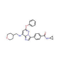 O=C(NC1CC1)c1ccc(-c2cnc3c(NCC4CCOCC4)cc(Oc4ccccc4)nn23)cc1 ZINC000299855692