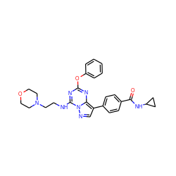 O=C(NC1CC1)c1ccc(-c2cnn3c(NCCN4CCOCC4)nc(Oc4ccccc4)nc23)cc1 ZINC000221944129