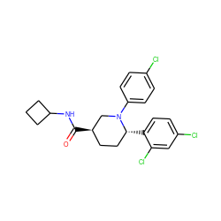 O=C(NC1CCC1)[C@@H]1CC[C@@H](c2ccc(Cl)cc2Cl)N(c2ccc(Cl)cc2)C1 ZINC000045392340