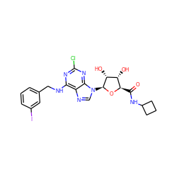 O=C(NC1CCC1)[C@H]1O[C@@H](n2cnc3c(NCc4cccc(I)c4)nc(Cl)nc32)[C@H](O)[C@@H]1O ZINC000096900445