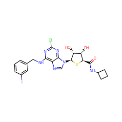 O=C(NC1CCC1)[C@H]1S[C@@H](n2cnc3c(NCc4cccc(I)c4)nc(Cl)nc32)[C@H](O)[C@@H]1O ZINC000028564201