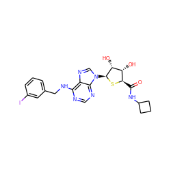 O=C(NC1CCC1)[C@H]1S[C@@H](n2cnc3c(NCc4cccc(I)c4)ncnc32)[C@H](O)[C@@H]1O ZINC000049757114