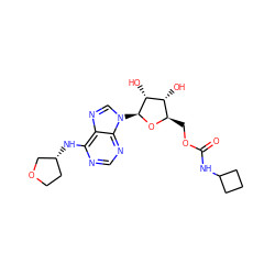 O=C(NC1CCC1)OC[C@H]1O[C@@H](n2cnc3c(N[C@@H]4CCOC4)ncnc32)[C@H](O)[C@@H]1O ZINC000013589087