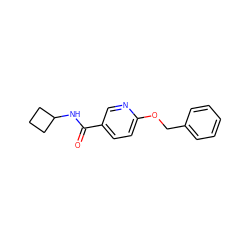 O=C(NC1CCC1)c1ccc(OCc2ccccc2)nc1 ZINC000095579944