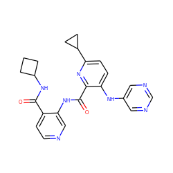 O=C(NC1CCC1)c1ccncc1NC(=O)c1nc(C2CC2)ccc1Nc1cncnc1 ZINC000169701701