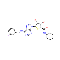 O=C(NC1CCCCC1)[C@H]1S[C@@H](n2cnc3c(NCc4cccc(I)c4)ncnc32)[C@H](O)[C@@H]1O ZINC000049757283