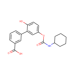 O=C(NC1CCCCC1)Oc1ccc(O)c(-c2cccc(C(=O)O)c2)c1 ZINC000096273118