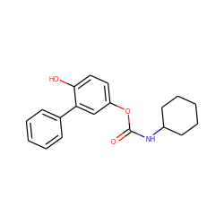 O=C(NC1CCCCC1)Oc1ccc(O)c(-c2ccccc2)c1 ZINC000095596859