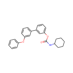 O=C(NC1CCCCC1)Oc1cccc(-c2cccc(Oc3ccccc3)c2)c1 ZINC000013583476