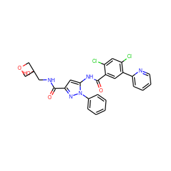 O=C(NCC1(O)COC1)c1cc(NC(=O)c2cc(-c3ccccn3)c(Cl)cc2Cl)n(-c2ccccc2)n1 ZINC001772596252