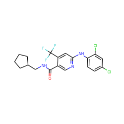 O=C(NCC1CCCC1)c1cnc(Nc2ccc(Cl)cc2Cl)cc1C(F)(F)F ZINC000040872732