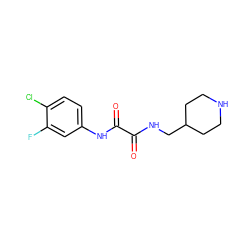 O=C(NCC1CCNCC1)C(=O)Nc1ccc(Cl)c(F)c1 ZINC000066258312