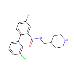 O=C(NCC1CCNCC1)c1cc(Cl)ccc1-c1cccc(Cl)c1 ZINC000049035529