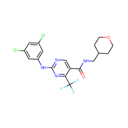 O=C(NCC1CCOCC1)c1cnc(Nc2cc(Cl)cc(Cl)c2)nc1C(F)(F)F ZINC000028645366