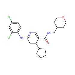 O=C(NCC1CCOCC1)c1cnc(Nc2ccc(Cl)cc2Cl)cc1C1CCCC1 ZINC000040878462