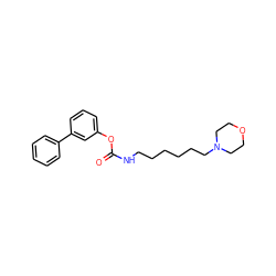 O=C(NCCCCCCN1CCOCC1)Oc1cccc(-c2ccccc2)c1 ZINC000040424026