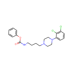 O=C(NCCCCN1CCN(c2cccc(Cl)c2Cl)CC1)Oc1ccccc1 ZINC000653850673